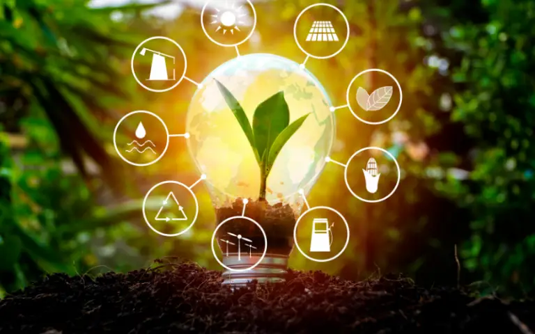 Why Is Solar Energy The Most Popular Renewable Energy System?